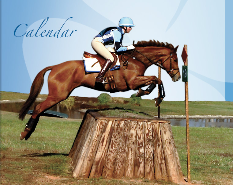 CalendarJumpingShot