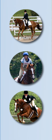 eventinginset