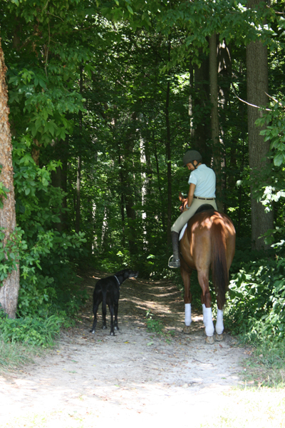 Gunsmoke and Private Buck
