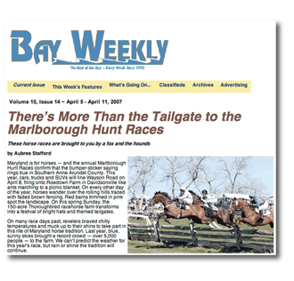 Bayview Article