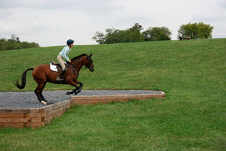 PuckBank