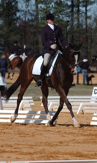 Trick Dressage