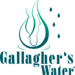 Gallagher_s_Water_-_Website_Logo_774x